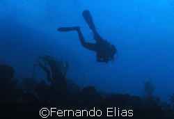 Going down to take a look !! by Fernando Elias 